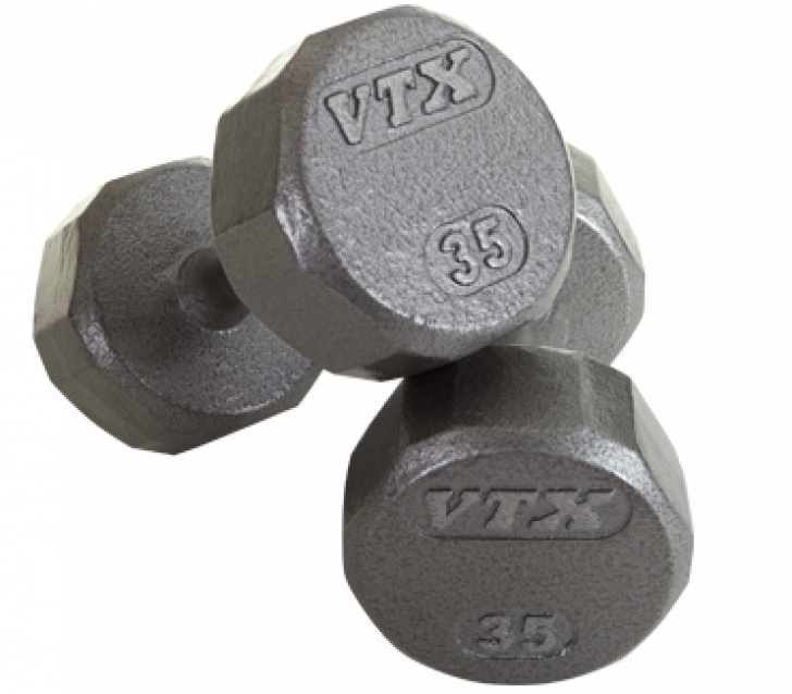 Picture of 12 Sided Solid Gray Dumbbells 55-100 lbs