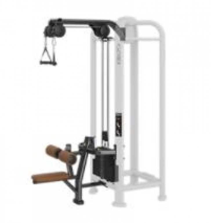 Picture of Dual Handle Lat Pull