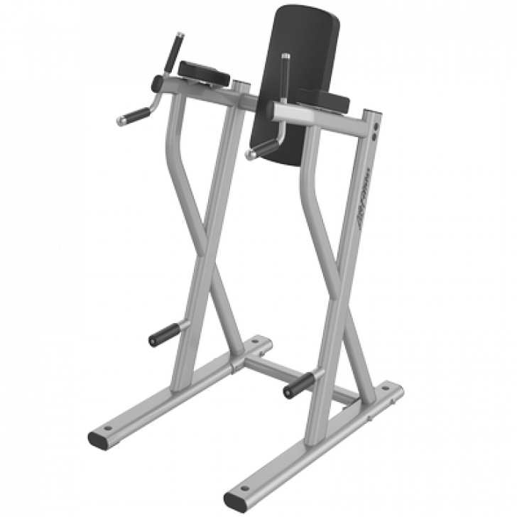 Picture of Life Fitness Axiom Series Dip/ Leg Raise 