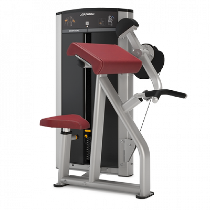 Picture of Life Fitness Axiom Series Biceps/ Triceps