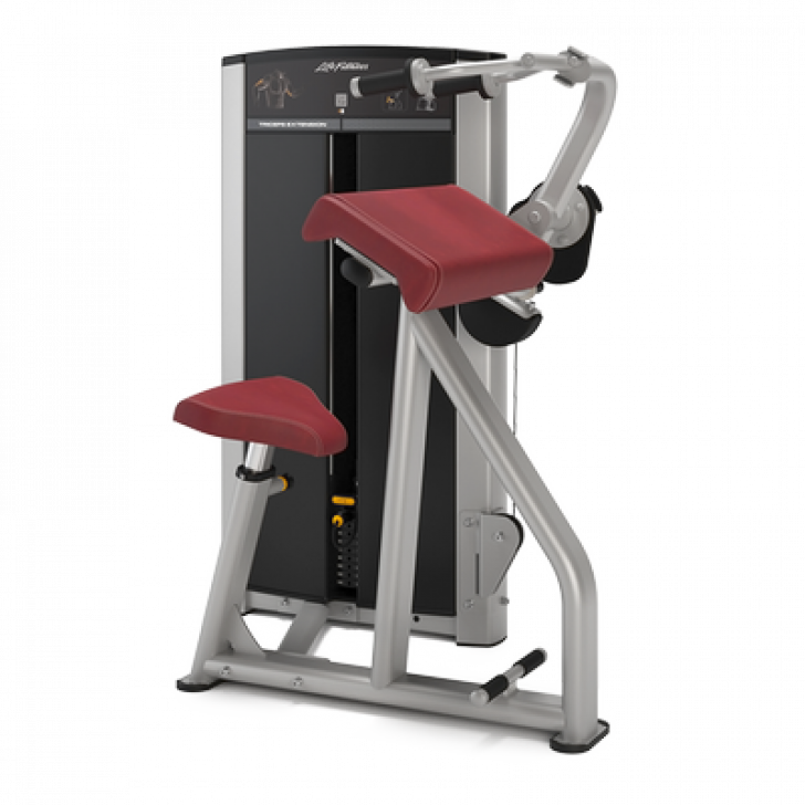 Picture of Life Fitness Axiom Series tricep extension 