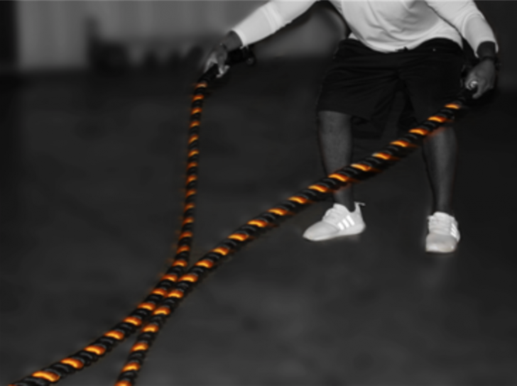 Picture of VTX TRAINING ROPES - 50ft