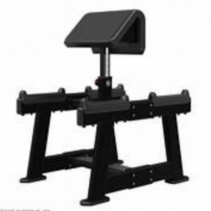 Picture of Standing Preacher Curl Model 9NP-B7515