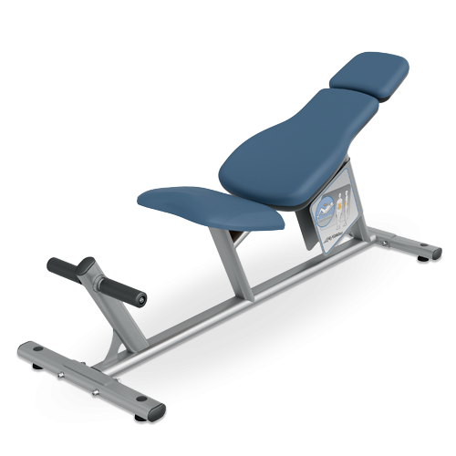 Ab Curl Bench