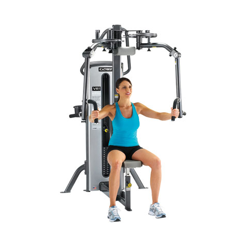 Fly/Rear Delt Dual