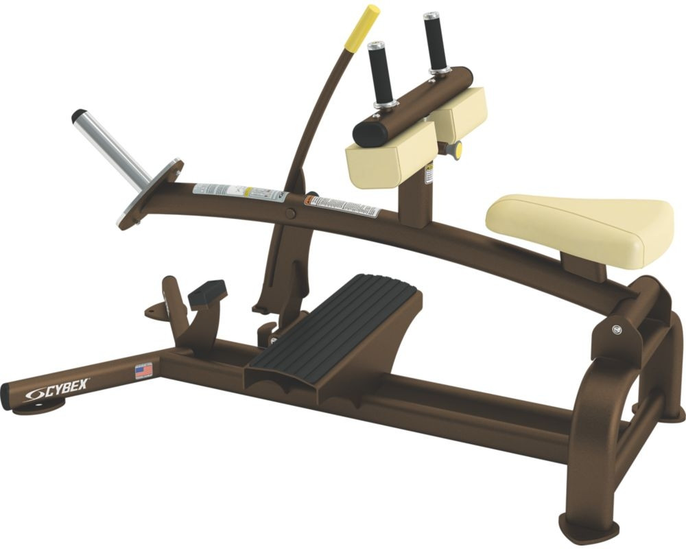 Seated Calf