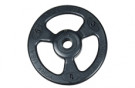 Picture of ISO-Grip Olympic Plate (Steel)