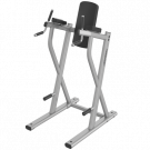 Picture of Life Fitness Axiom Series Dip/ Leg Raise 
