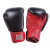 PowerForce Boxing Gloves (pair)